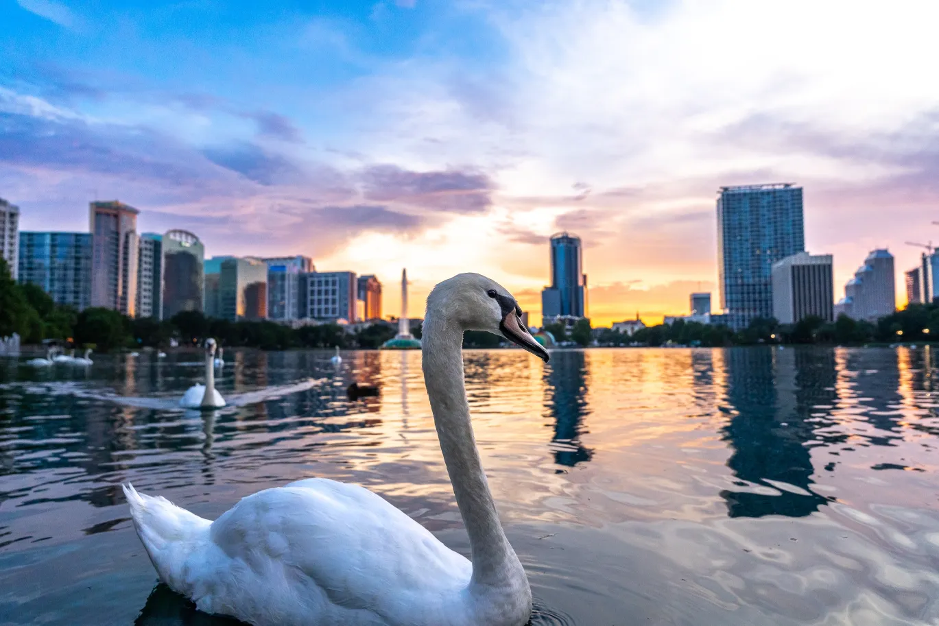 Orlando Car Accident Lawyer and Orlando Personal Injury Lawyer office near Lake Eola, serving car accidents and serious injuries throughout Central Florida | Tina Willis Law