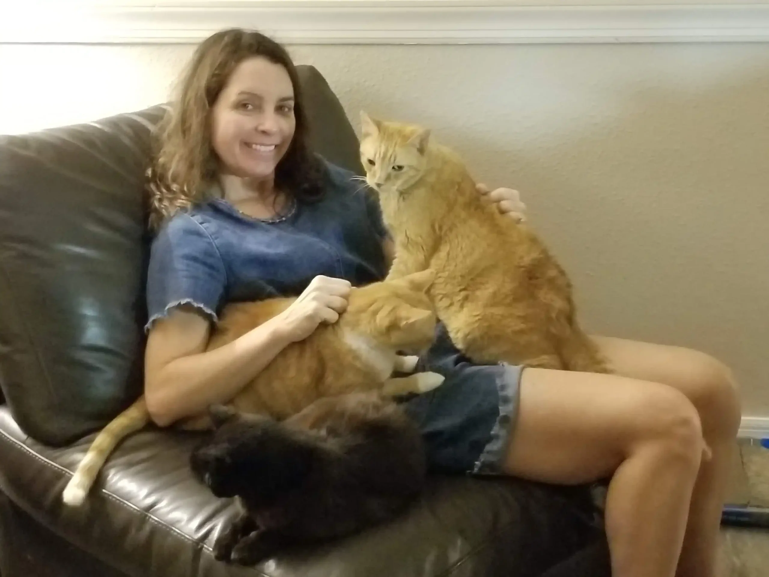 Orlando personal injury lawyer Tina Willis at home with rescued cats in Winter Garden Florida